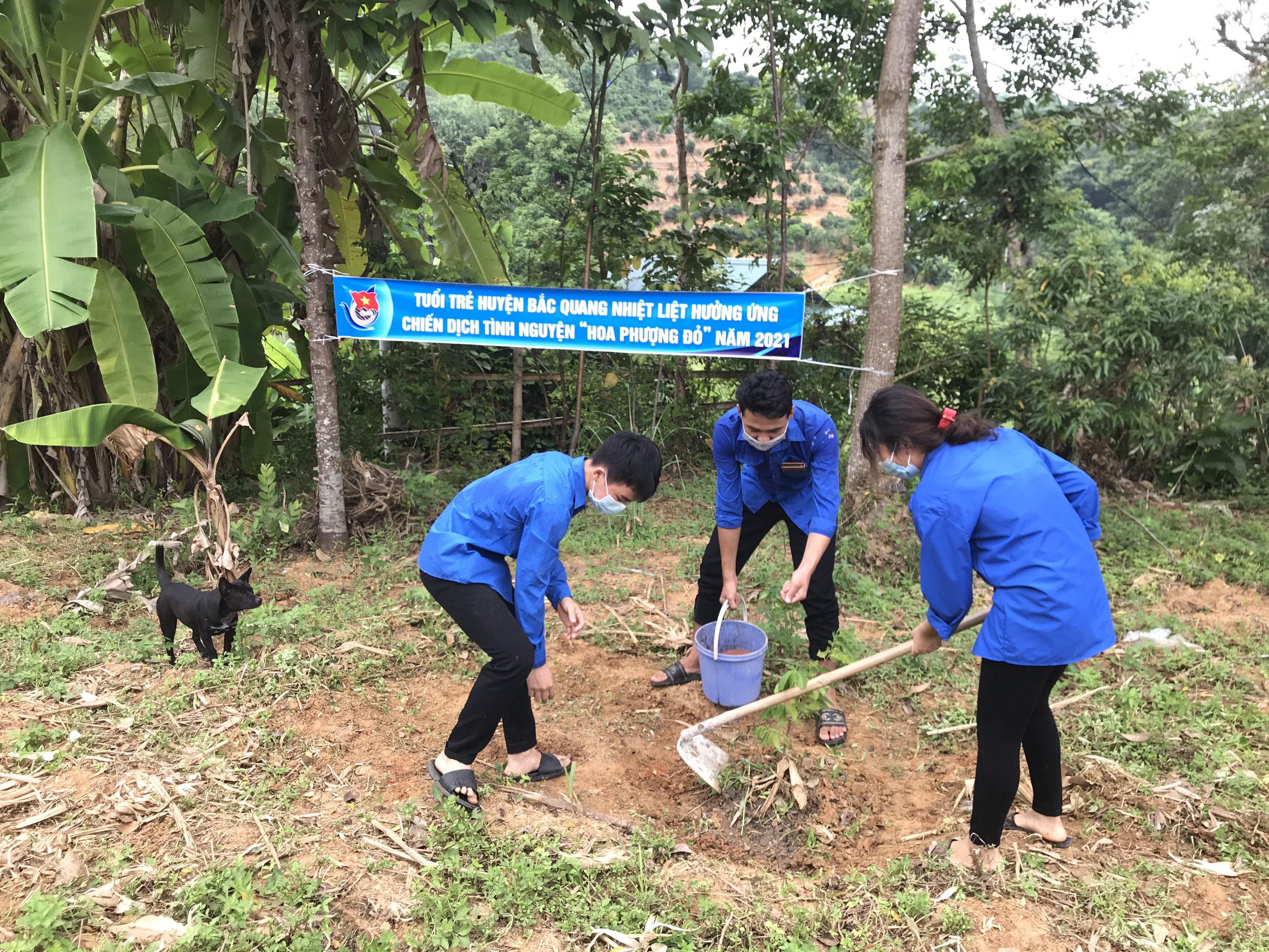 Đoàn Thanh Niên thị trấn Vĩnh Tuy tổ chức lao động giúp gia đình cải tạo vườn tạp
