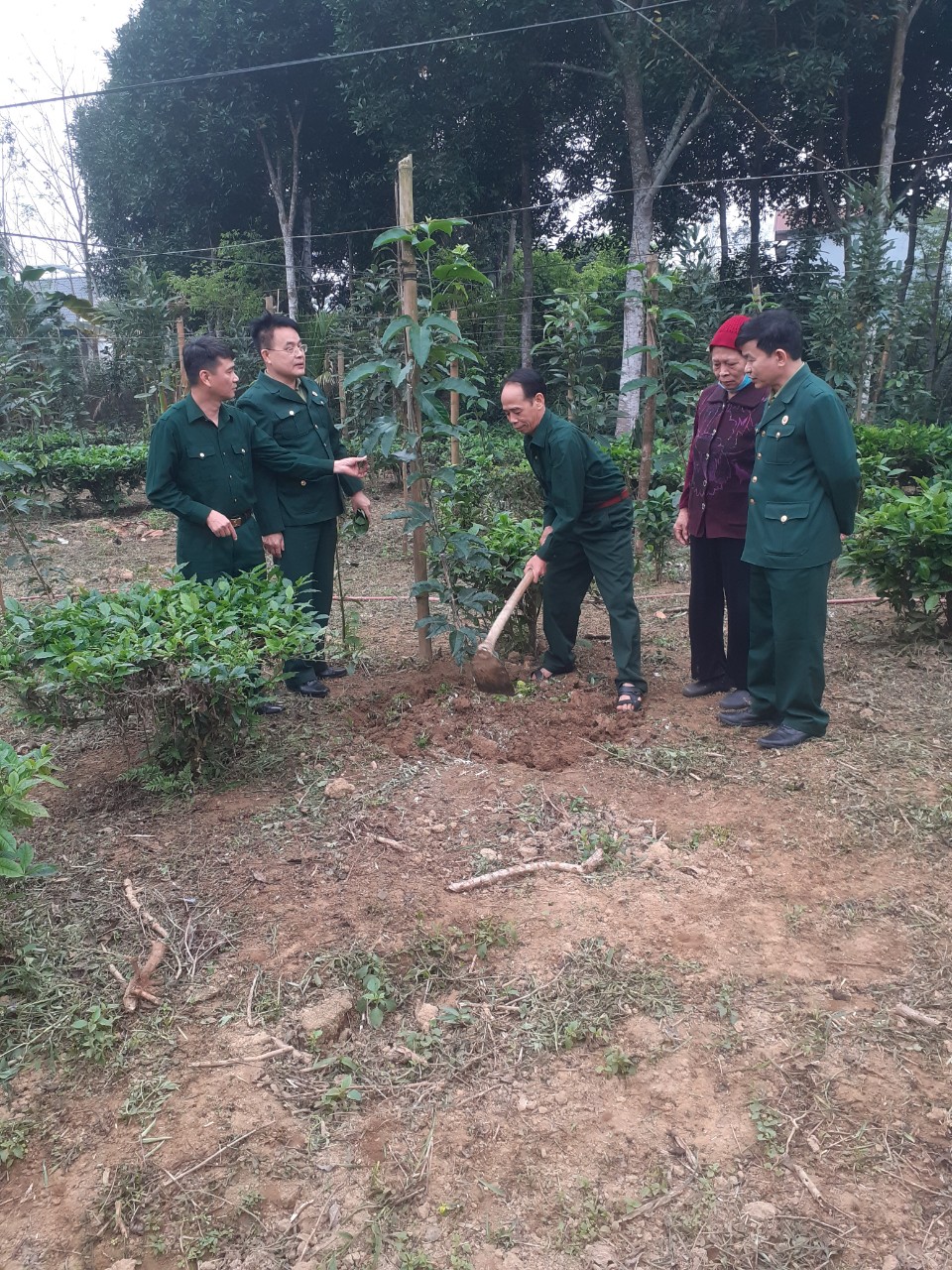 Thực hiện kế hoạch của Hội Cựu binh huyện Bắc Quang về kiểm tra cải tạo vườn tạp